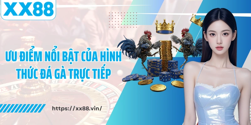Ưu điểm nổi bật của hình thức đá gà trực tiếp